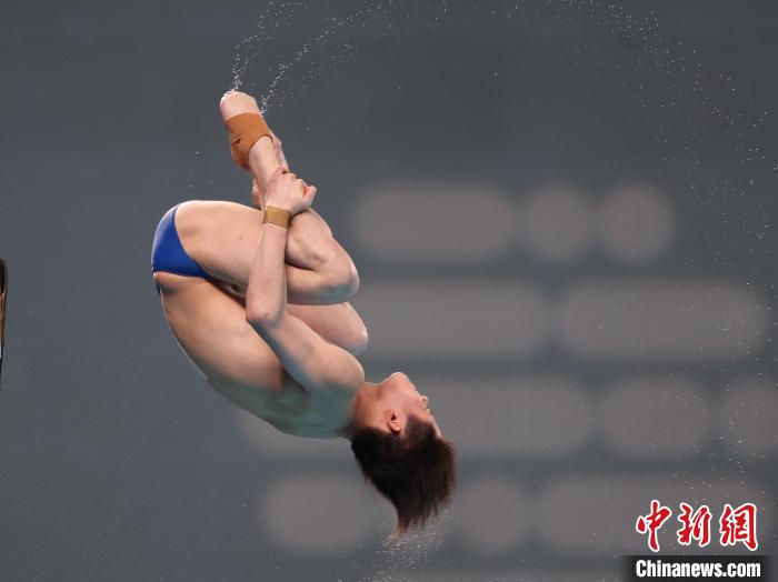 包揽世界杯总决赛9金 中国跳水新周期全力巩固优